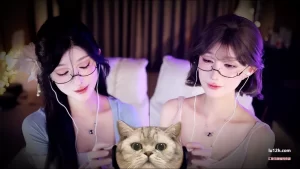 虎牙张爱玲aily双人付费纯享敲击耳朵asmr助眠视频，御姐女神双声道掏耳